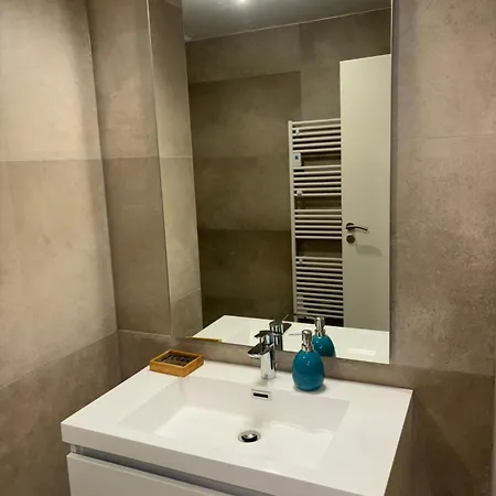 + Parking + Terrasse * Mulhouse